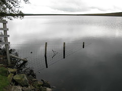 Waskerley Reservoir