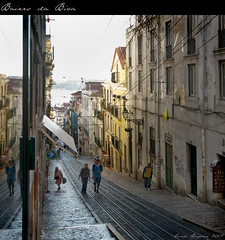 Lisboan Images
