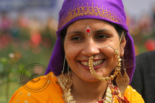 Hoop Nose Rings on Nose Ring A Gharwal Girl Wearing Beautiful Nose Ring