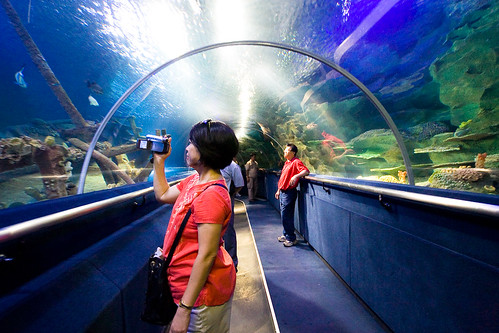 Befriend with the Marine World at Aquaria KLCC - Things to do in Kuala Lumpur