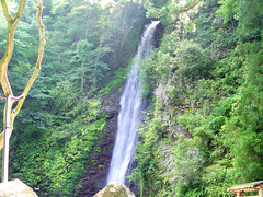 Waterfall of Yoro (養老の滝)