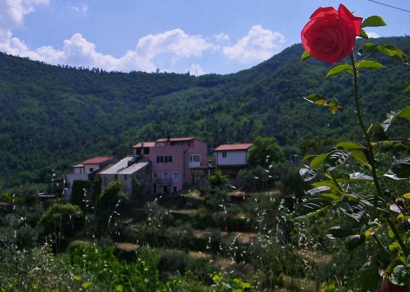 7] Vado Ligure (SV), Segno: una rosa in Via Bricco