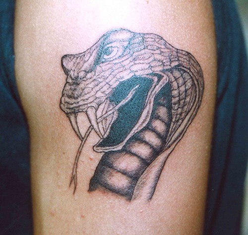 Serpente Cobra Americo tattoo l'aquila