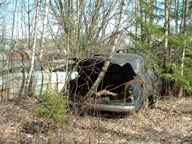 junkcars skogsvrak Opel Kapit n skogsvrak