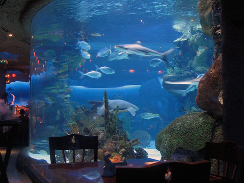Fish Tank Restaurant