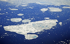北極海冰，圖片提供David Astley