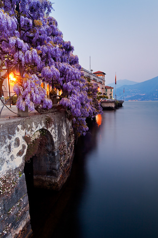 Italy - Lake Como: Wisteria Blues