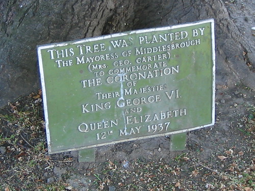 Mrs Geo. Carter Coronation Tree Plaque, Albert Park