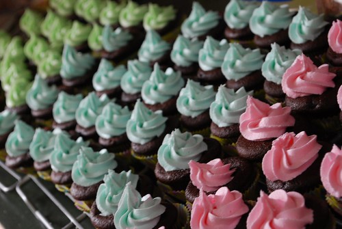 Many Mini Cupcakes 1