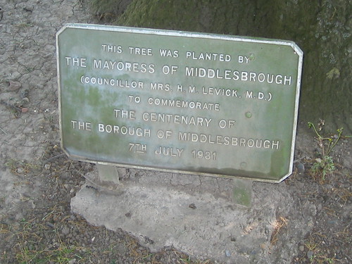 Mrs H.M. Levick Tree Plaque, Albert Park