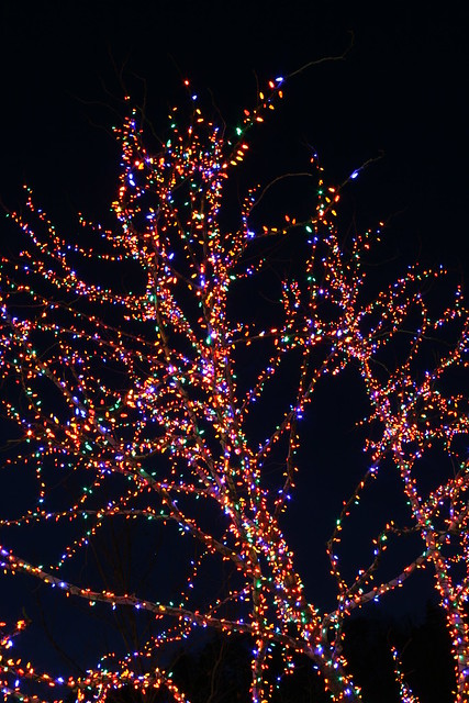 Christmas Lights at Dollywood | Flickr - Photo Sharing!