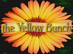 THE ALL YELLOW BUNCH