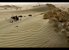 Desert-Bahrain