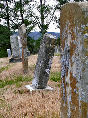 Elliott Cemetery ~ TN