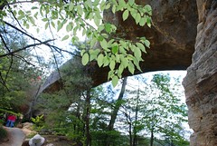 2010 Red River Gorge and Natural Bridge KY