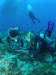 TEIA結合民間潛水志工，進行珊瑚礁體檢，共同守護美麗的海洋。