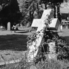 Orpington Cemetery - 13/05/2010