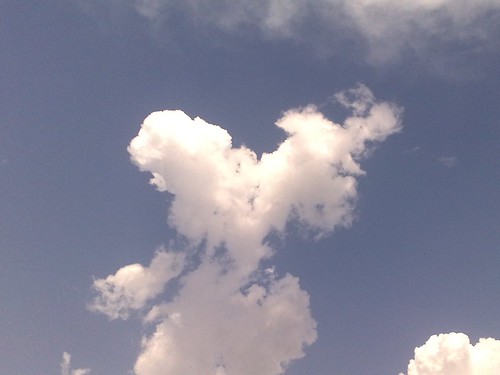 Love is in the air ! Literally !!
