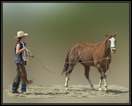 Natural Horsemanship Clinic par orovillesue