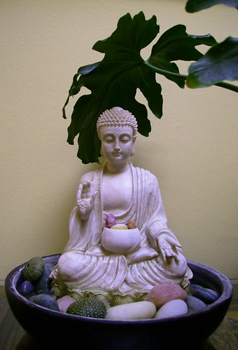 Buddha statue abhaya mudra, StillPoint Acupuncture, Nelson, New Zealand by Wonderlane