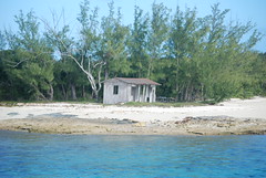 Bahama 2008-9
