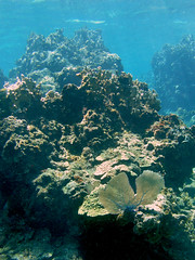 Caracol Barrier Reef
