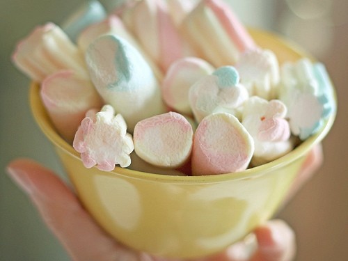 Cup of Marshmallow