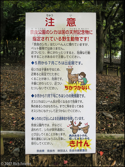 Another Deer Warning Sign