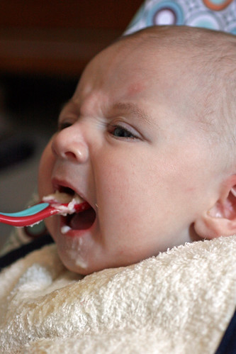 Babies don't like processed baby foods