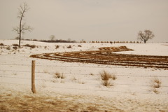 Winter 2008/2009