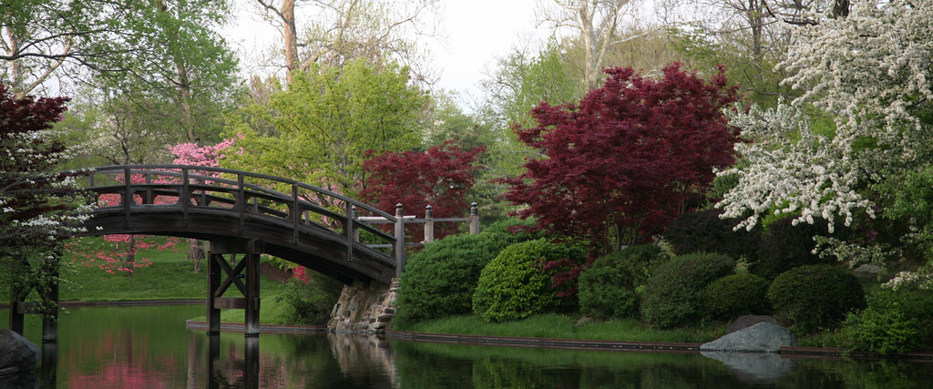 Crunchyroll Missouri Botanical Garden Hosts Annual Japanese