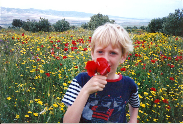 with poppies