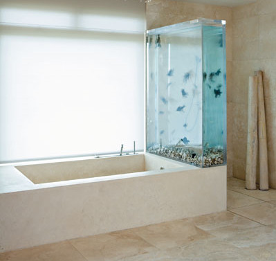 Bathroom Tubs on Fish Tank Bathtub   Flickr   Photo Sharing