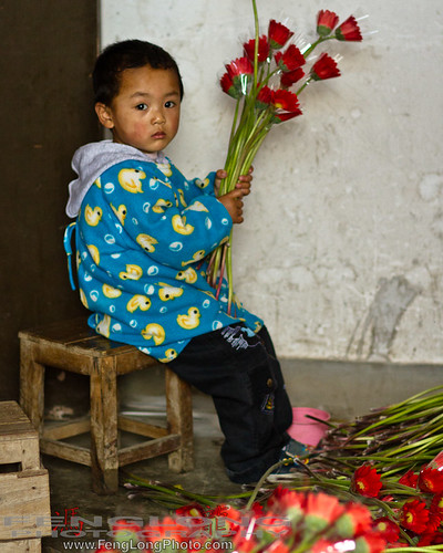 Chinese boy sorts flowers