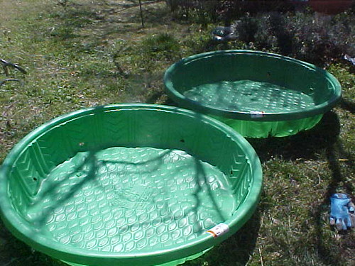 Wading Pools Ready to Plant