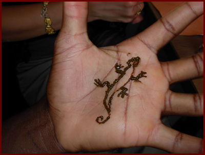 henna tattoo a lizard in the hand original henna tattoo