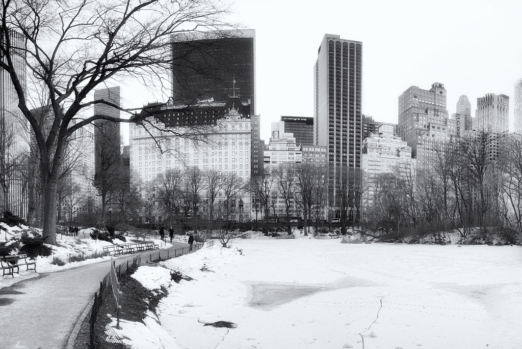 Central Park pond and Manhattan skyline