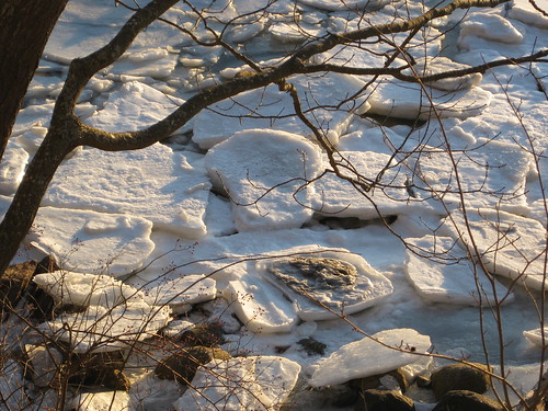 The frozen shore