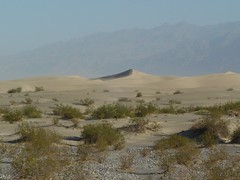 Mesquite Flats Sand Dunes, CA