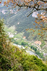 Gorges Du Tarn