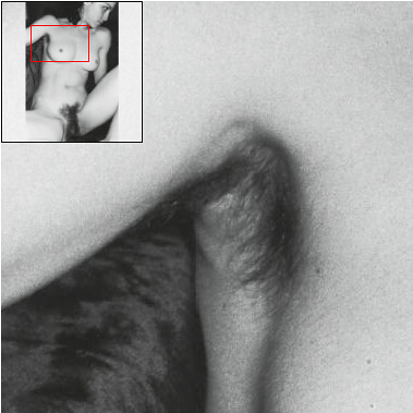 A look at Madonna's Hairy Parts 3 her armpit