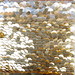 goldspanglefall tile atop glass mosaic