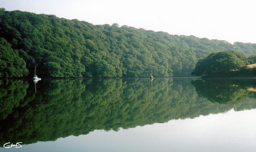 River Fal, Cornwall by Stocker Images