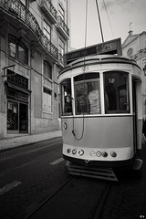 as histórias de Lisboa