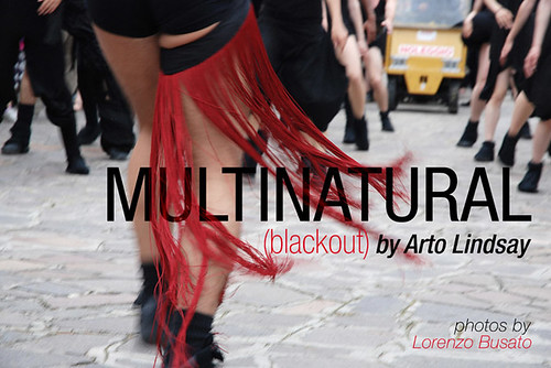 MULTINATURAL (Blackout) by Arto Lindsay