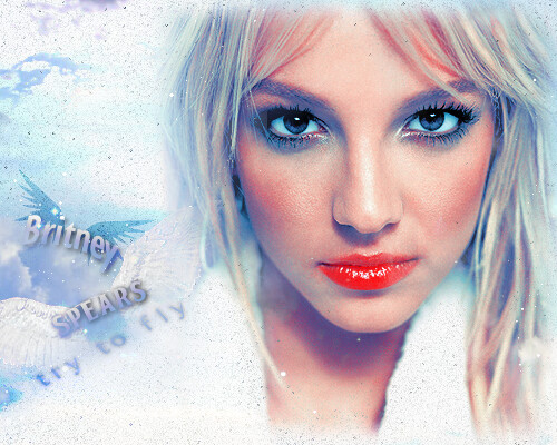 Britney Spears Everytime Heaven Blend Net GaGa