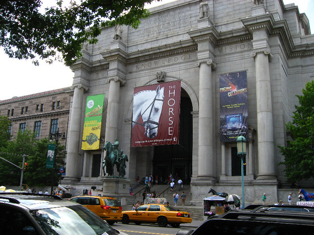 Download this American Museum... picture