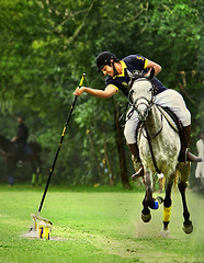 Polo & Tent Pegging