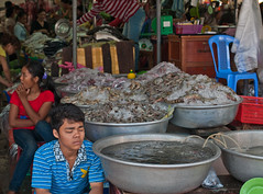 Phnom Penh Phollies