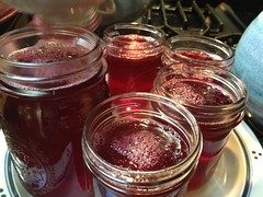 Making homemade plum jam